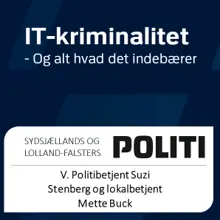 Sådan undgår du IT-kriminalitet
